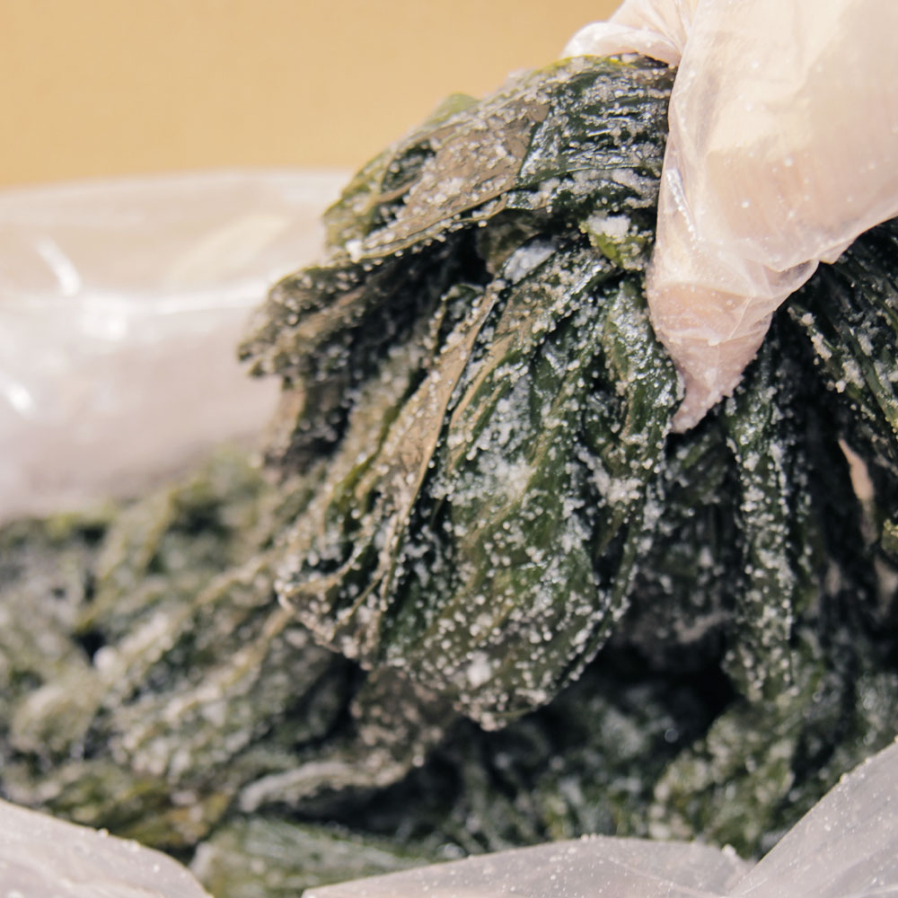 [남도드림] 바다채소 매끈 통통 맛있는 염장 다시마 1kg